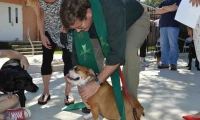 CC Pet Blessing 2015_8