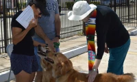 CC Pet Blessing 2015_9