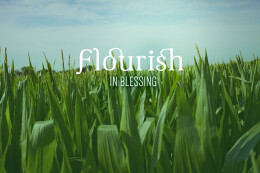 Flourish in Blessing
