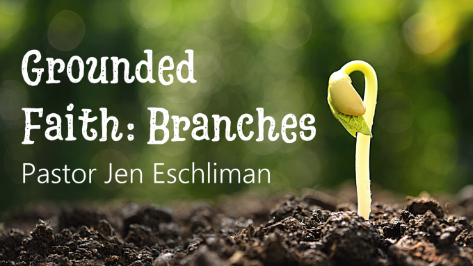 Grounded Faith: Branches