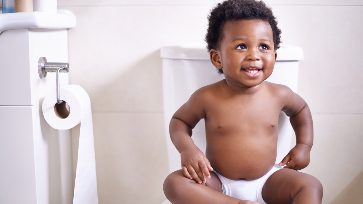 The basics of potty training toddlers, potty training 