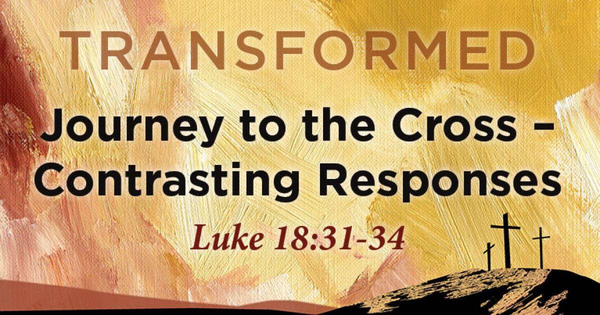 Journey To The Cross — Contrasting Responses | Sermons | First Baptist ...