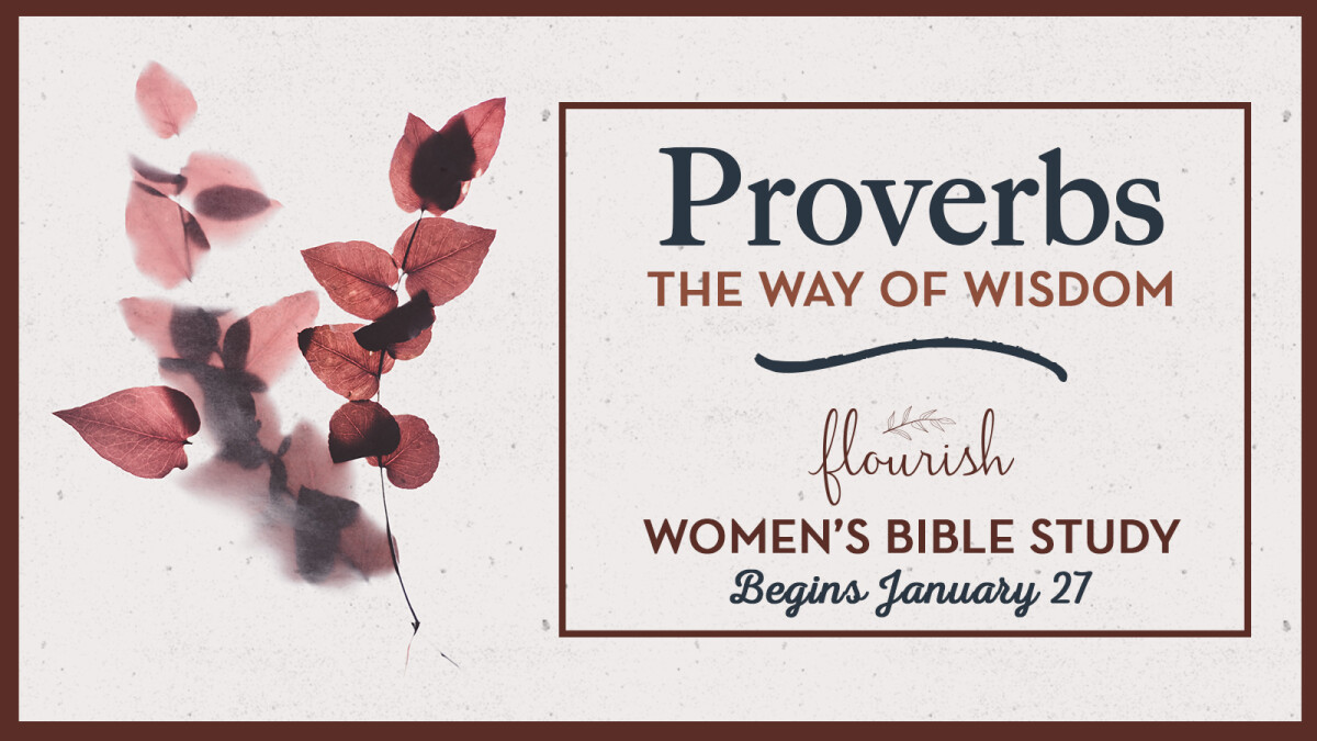 Spring Women's Bible Study