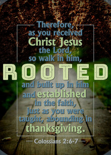 ROOTED 1 John 3:16-17
