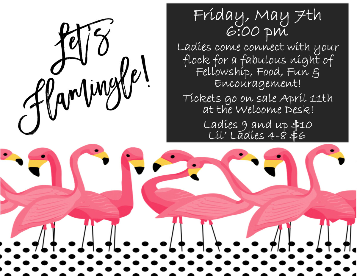 Women's Ministry - Let's Flamingle!