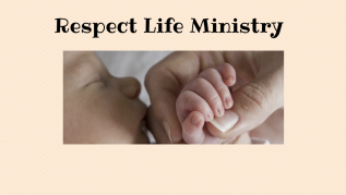 Parish Calendar | St Jude Catholic Church Parish Calendar | St Jude Catholic Church