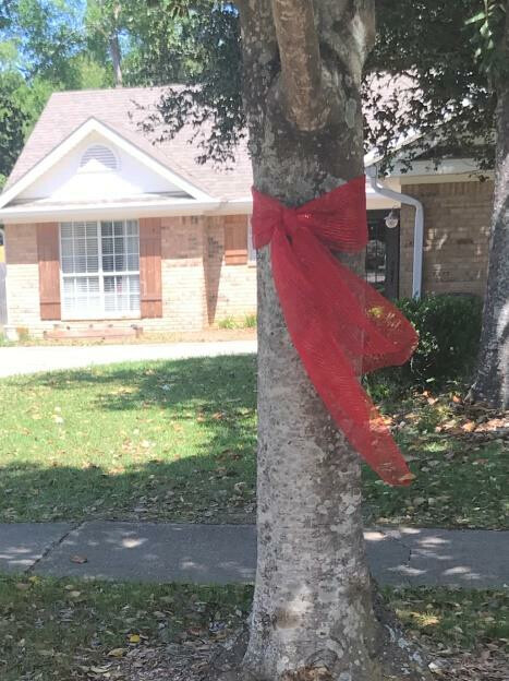 Red Ribbon around Tree