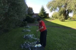 Wilson Clean Up 2016 - (1)