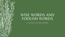 Wise Words & Foolish Words