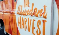 Abundant Harvet (3 of 3)