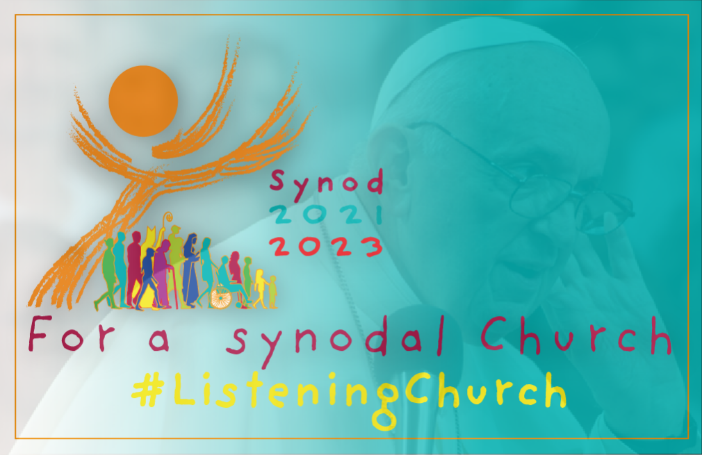 Synod Follow-up Sessions