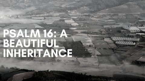 Psalm 16: A Beautiful Inheritance 