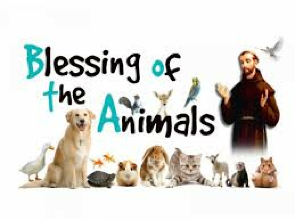 5 p.m. Blessing of the Animals