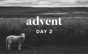ADVENT 2019 | The Lamb of God