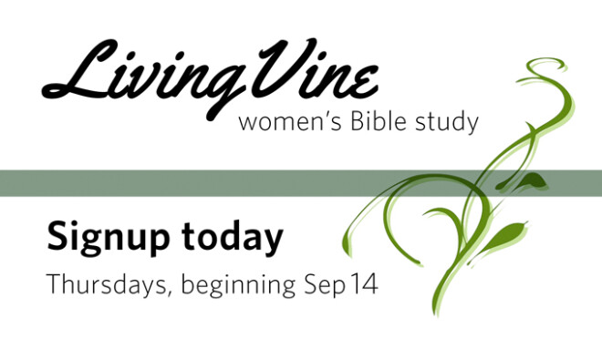 9:15am Living Vine Women's Bible Study