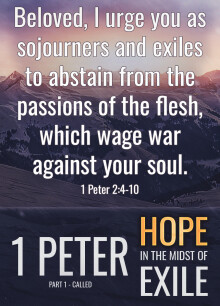 1 Peter Week 14