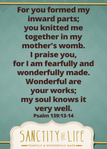 Psalms Study Week 4