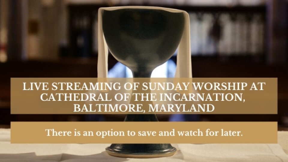  Holy Eucharist @ Cathedral of the Incarnation @ 11 AM