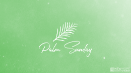 The Reason for Palm Sunday