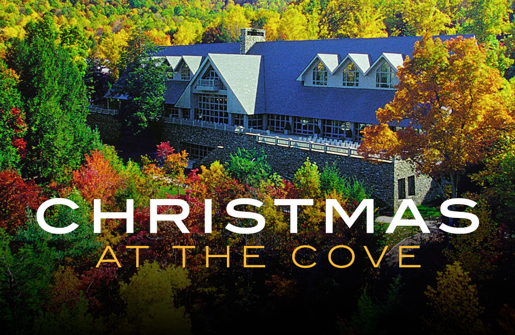 Christmas at the Cove