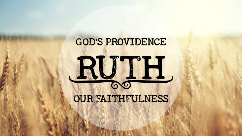 God's Provision - Our Faithfulness
