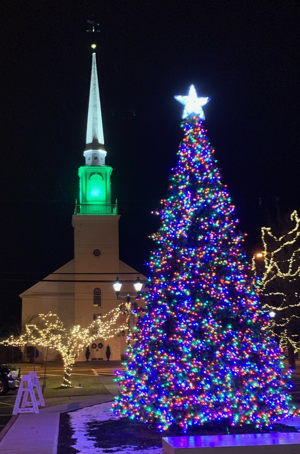 "Hope & Light" Community Christmas Tree Lighting & Program