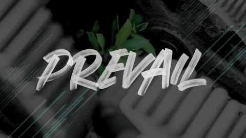 "Prevail with Love"