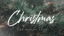 Christmas 2021: The Rising Star