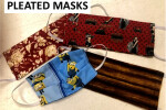 Pleated Masks