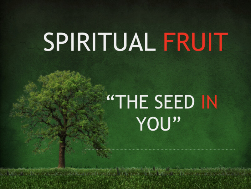 Spiritual Fruit-The Seed in You
