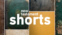 New Testament Shorts