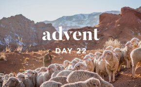 ADVENT 2019 | The Good Shepherd