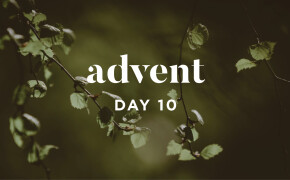 ADVENT 2019 | A Righteous Branch