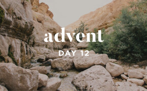 ADVENT 2019 | Living Water