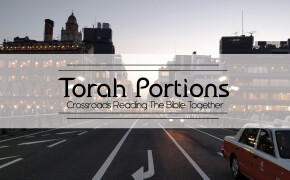 Torah Portions Reflections | BO
