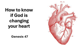 Sermon 64 Genesis 47 How to know if God is changing your heart