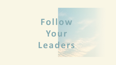 Follow Your Leaders