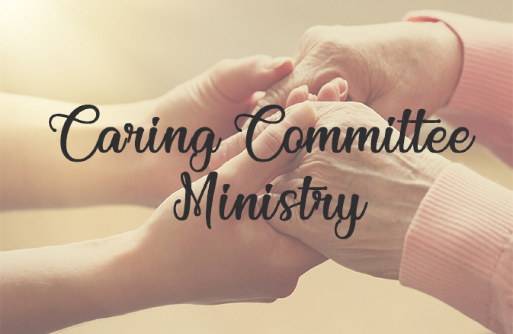 Visitation / Caring Ministry Lunch and Training - RSVP