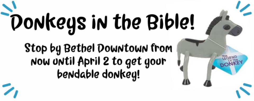 Donkeys in the Bible