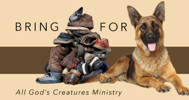 All God's Creatures Shoe Collection