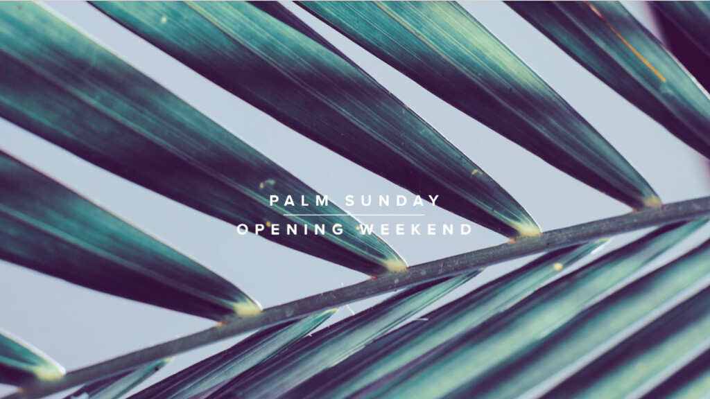 Palm Sunday 2017