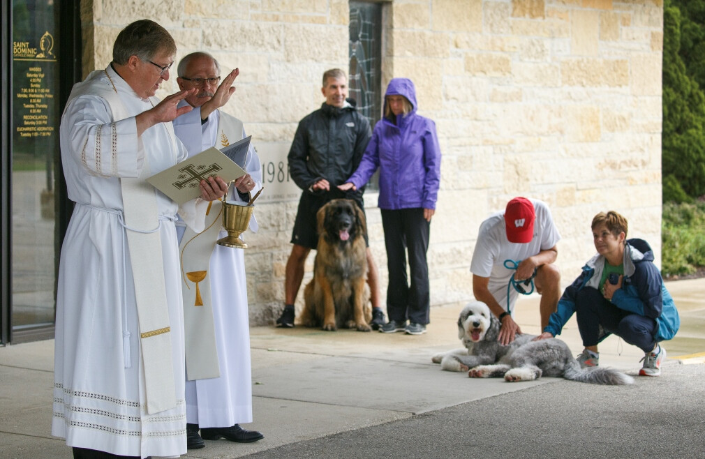 Blessing of the Animals