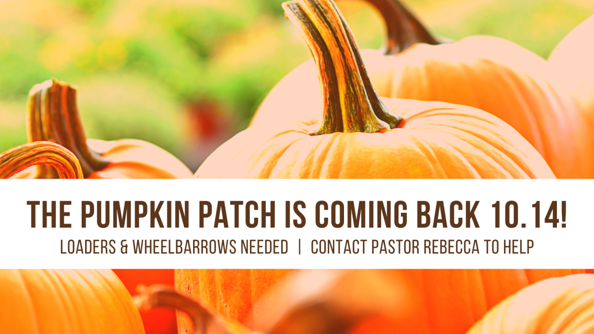Pumpkin Patch Delivery