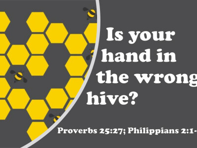 Is Your Hand in the Wrong Hive?