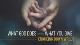 Knocking Down Walls