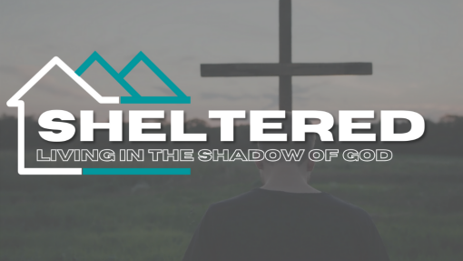 Sheltered: All  You Have to Do Is Say Help