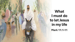 Sermon 25 Mark 11:1-11 What must i do to let Jesus in my life