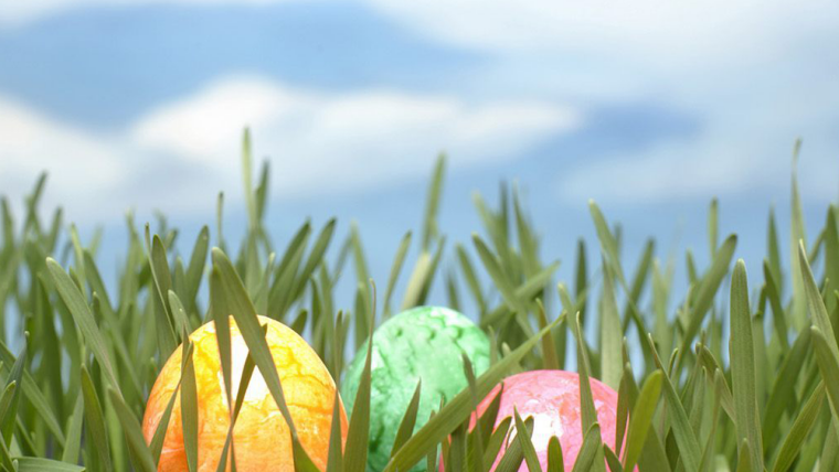 Easter Egg Hunt