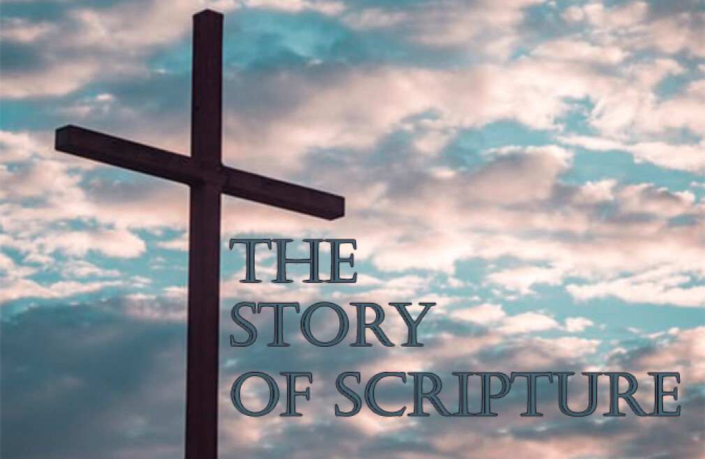 Maricopa Bible Study - The Story of Scripture