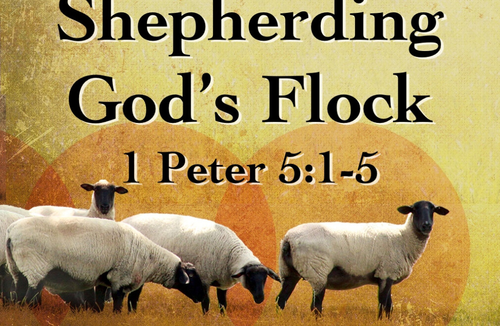Shepherding Sunday 